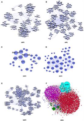 In silico Identification of the Indispensable Quorum Sensing Proteins of Multidrug Resistant Proteus mirabilis